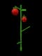 Tomato - rare rarity crop from Tom's Shop in Roblox Grow A Garden farming game worth 27 Sheckles