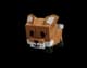 Red Fox - mythical rarity pet in Grow A Garden with valuable abilities